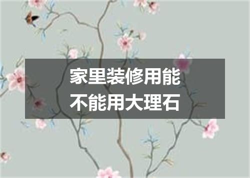 家里装修用能不能用大理石