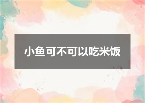 小鱼可不可以吃米饭