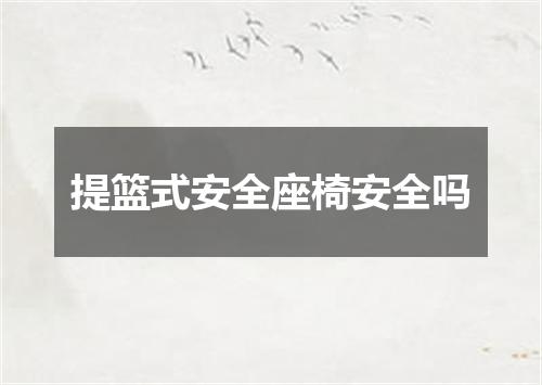 提篮式安全座椅安全吗