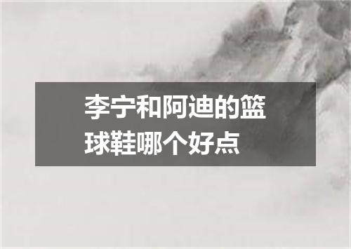 李宁和阿迪的篮球鞋哪个好点