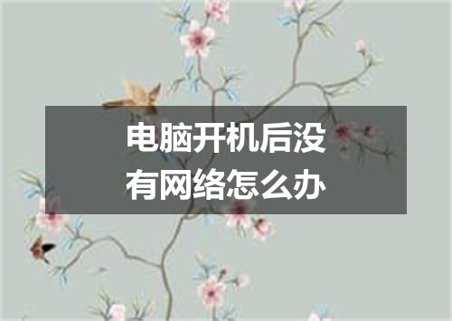 电脑开机后没有网络怎么办