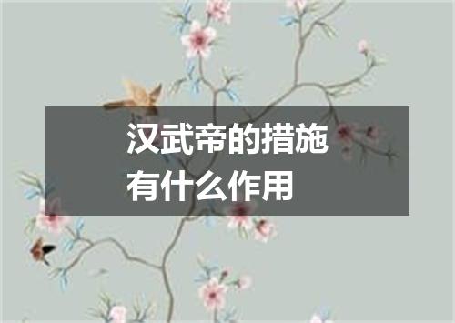 汉武帝的措施有什么作用
