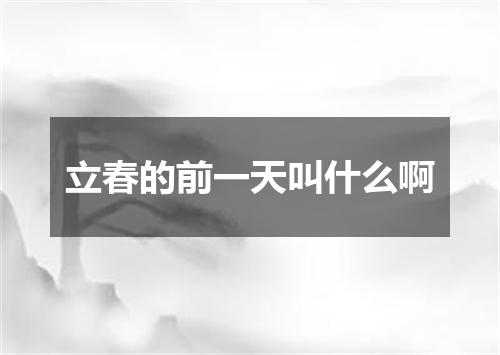 立春的前一天叫什么啊
