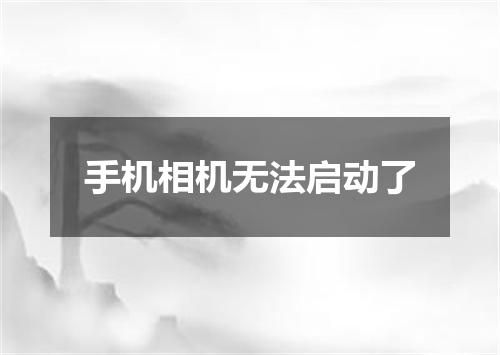 手机相机无法启动了