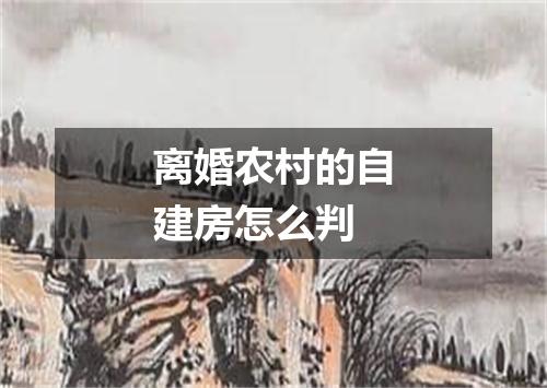 离婚农村的自建房怎么判