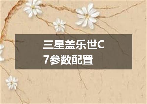 三星盖乐世C7参数配置