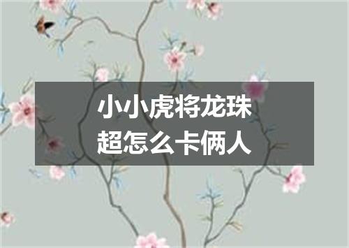 小小虎将龙珠超怎么卡俩人