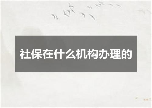 社保在什么机构办理的