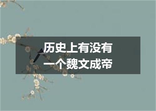 历史上有没有一个魏文成帝