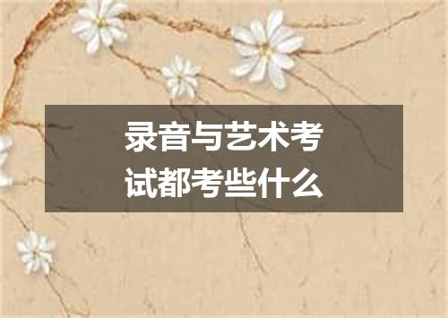 录音与艺术考试都考些什么