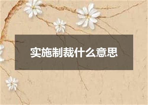 实施制裁什么意思