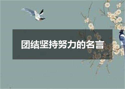 团结坚持努力的名言