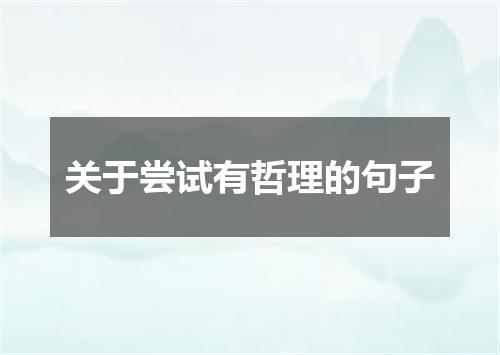 关于尝试有哲理的句子