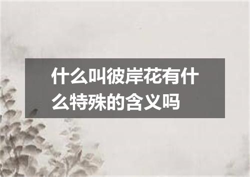 什么叫彼岸花有什么特殊的含义吗