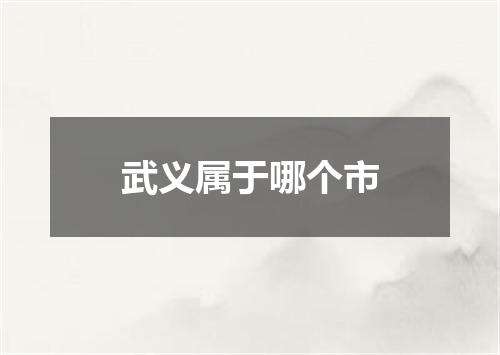 武义属于哪个市