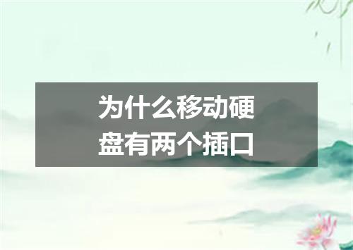 为什么移动硬盘有两个插口