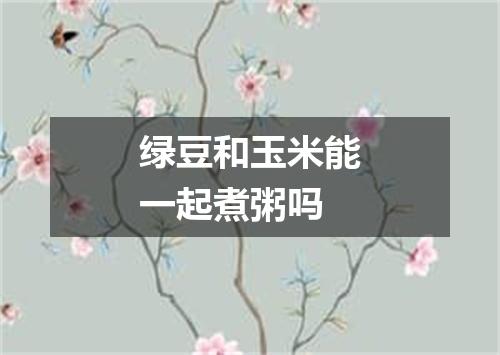 绿豆和玉米能一起煮粥吗