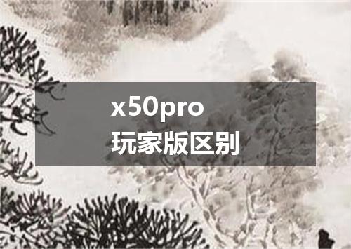 x50pro玩家版区别
