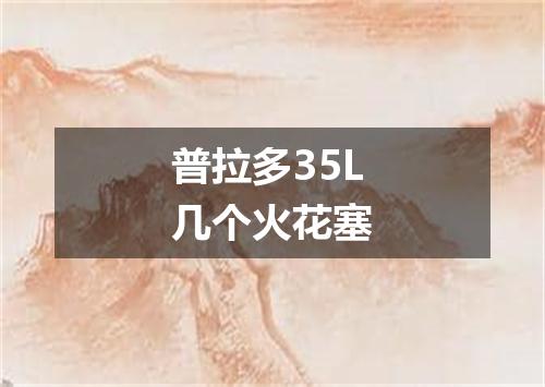 普拉多35L几个火花塞