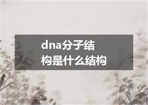 dna分子结构是什么结构