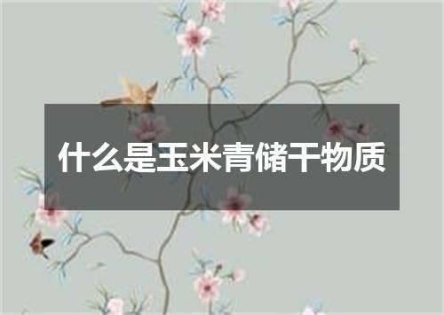 什么是玉米青储干物质