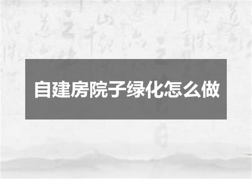 自建房院子绿化怎么做