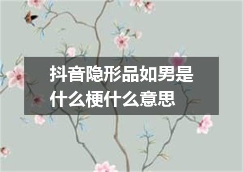 抖音隐形品如男是什么梗什么意思