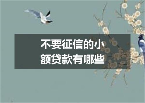 不要征信的小额贷款有哪些