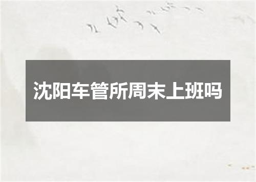 沈阳车管所周末上班吗