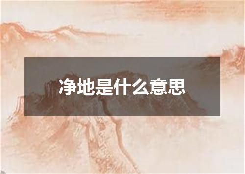 净地是什么意思