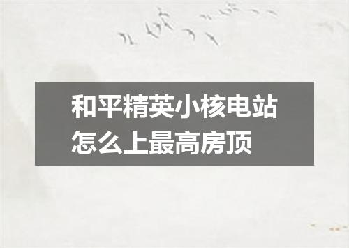 和平精英小核电站怎么上最高房顶