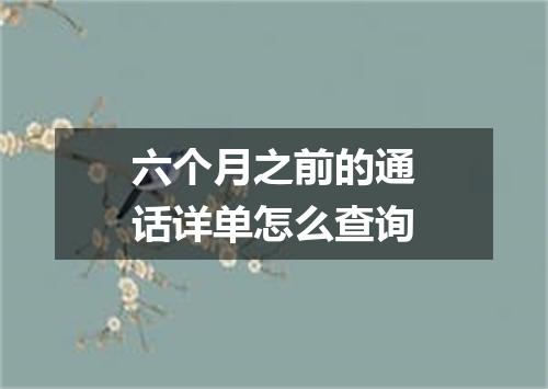 六个月之前的通话详单怎么查询