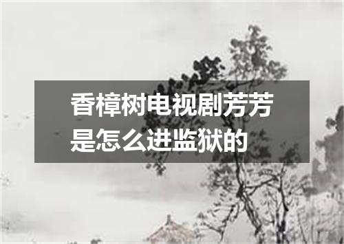 香樟树电视剧芳芳是怎么进监狱的