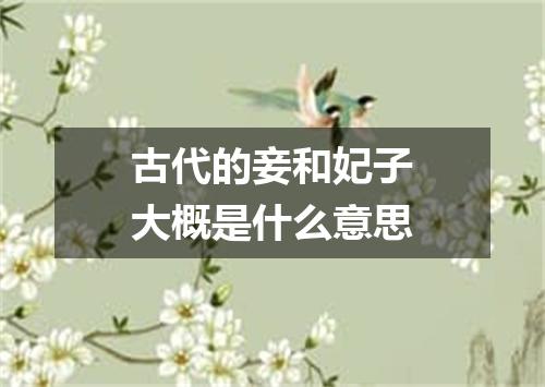 古代的妾和妃子大概是什么意思