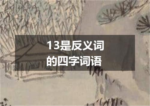 13是反义词的四字词语
