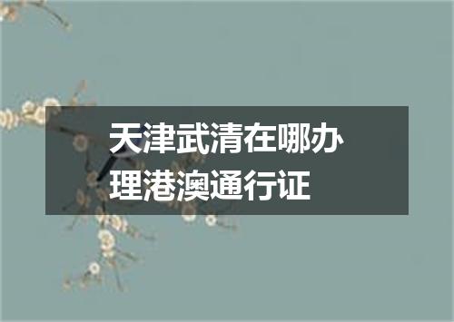 天津武清在哪办理港澳通行证