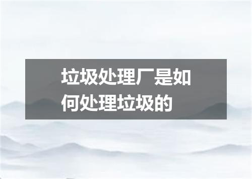 垃圾处理厂是如何处理垃圾的