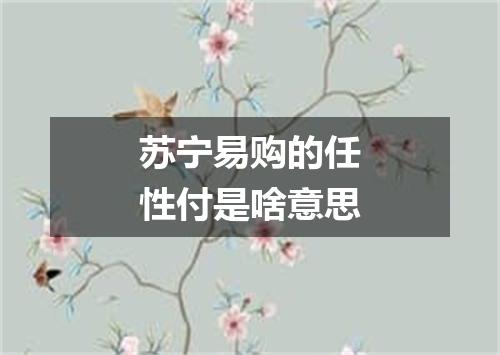 苏宁易购的任性付是啥意思