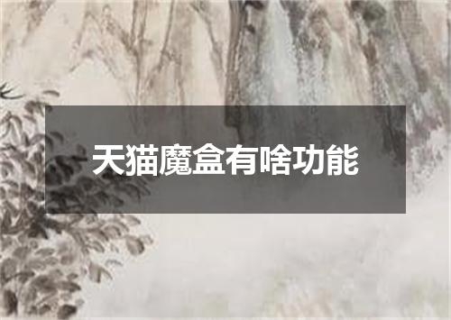 天猫魔盒有啥功能