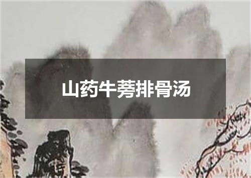 山药牛蒡排骨汤