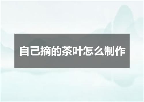 自己摘的茶叶怎么制作