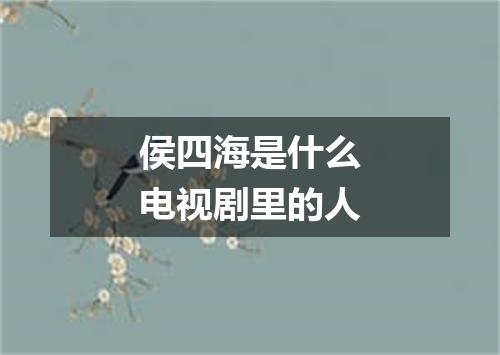 侯四海是什么电视剧里的人