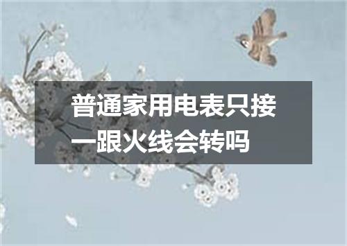 普通家用电表只接一跟火线会转吗