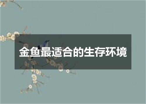 金鱼最适合的生存环境