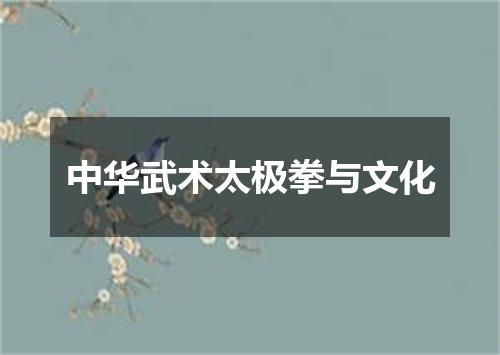 中华武术太极拳与文化