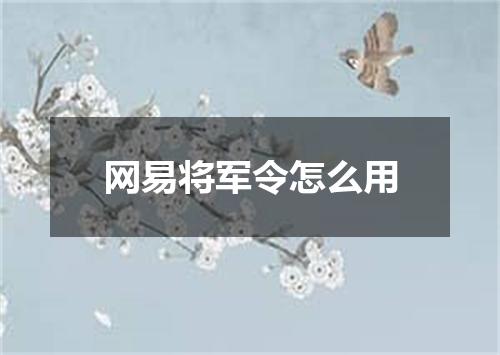 网易将军令怎么用