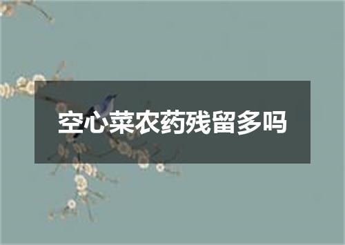 空心菜农药残留多吗
