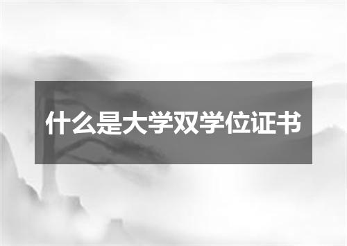 什么是大学双学位证书