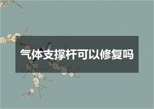 气体支撑杆可以修复吗