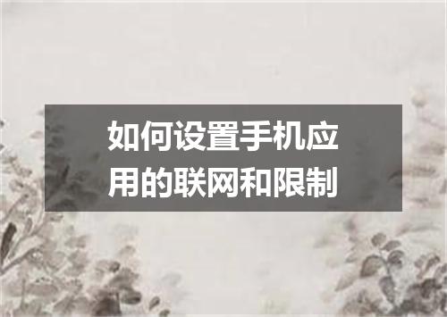 如何设置手机应用的联网和限制